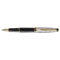 Waterman Expert Reflections of Paris Fountain Pen - Deluxe Black